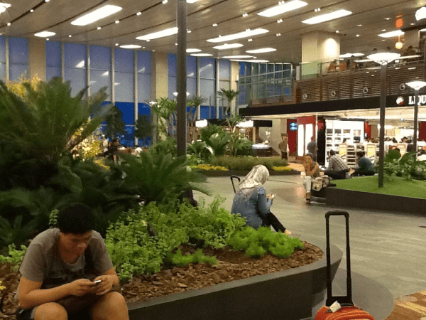 singapores_changi_international_airport1-resized-600