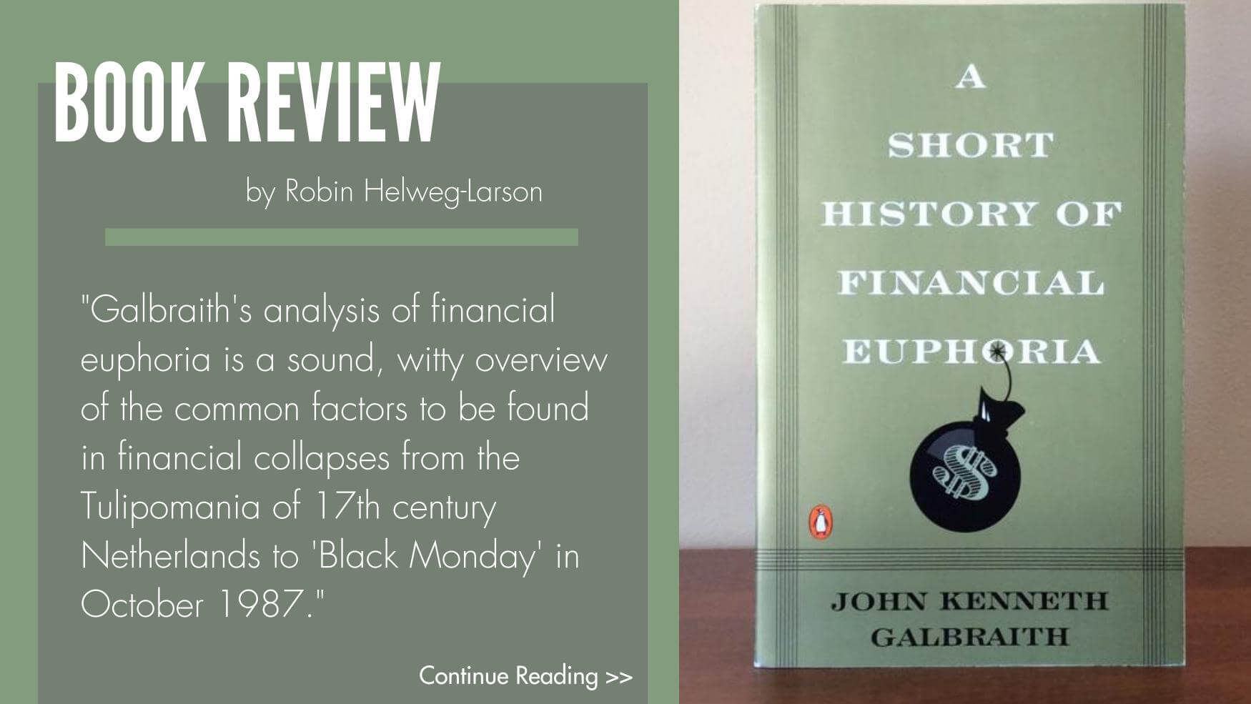 a short history of financial euphoria pdf free download
